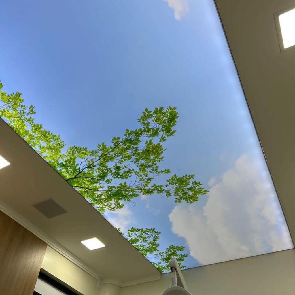 Tela tensionada impressa galhos de &aacute;rvore e um c&eacute;u azul