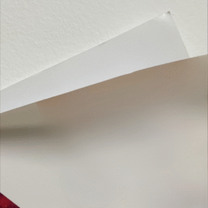 Vinil Promo B 120 e Promo F 120