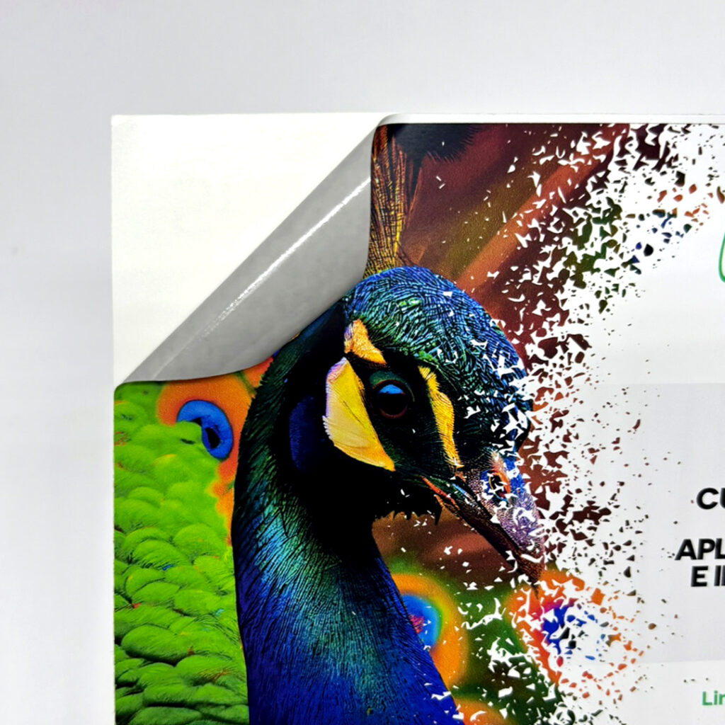 Vinil DP 100 GTS (brilho) e DP 120 GTS (fosco)