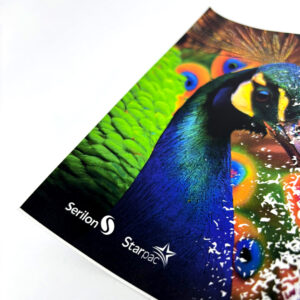 Vinis Adesivos DE 501 S e DE 520 S