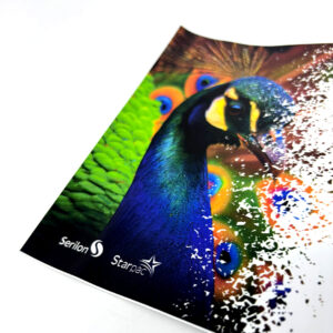 Vinis DE 540 S e DE 550 S