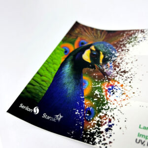 Adesivos RP 442 e RP 452