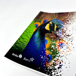 Vinil DP 100 GTS (brilho) e DP 120 GTS (fosco)