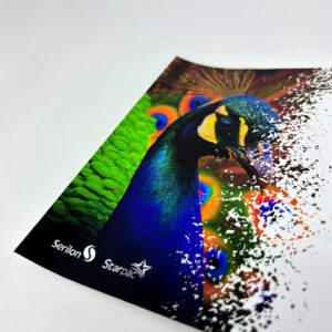 Vinil DP 100 GTS (brilho) e DP 120 GTS (fosco)