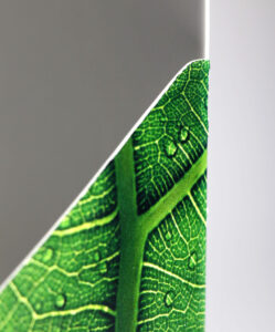 Chapa Papel Rígido Excellent