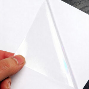 Máscara Transparente com Liner